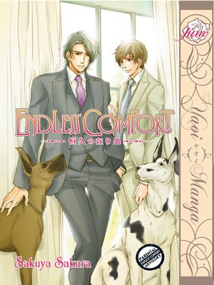 cover image of Endless Comfort